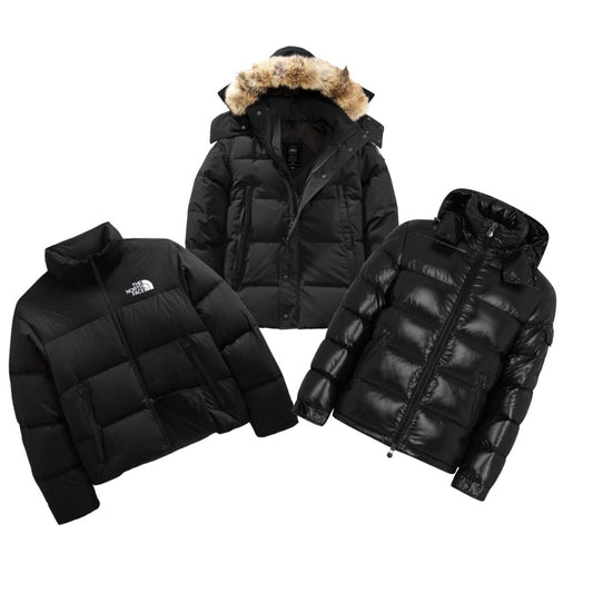 Winter Jacket Supplier